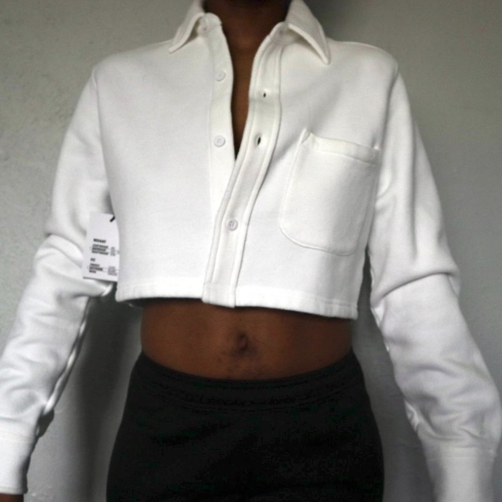 Aritiza Crop Jacket